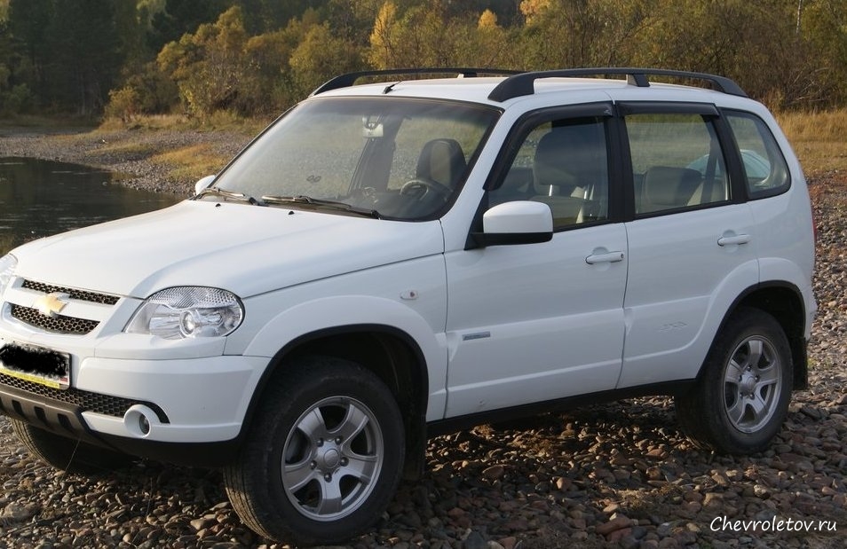 Фото 86 — Отзывы о аренде Chevrolet Niva в Владимире: что нужно знать