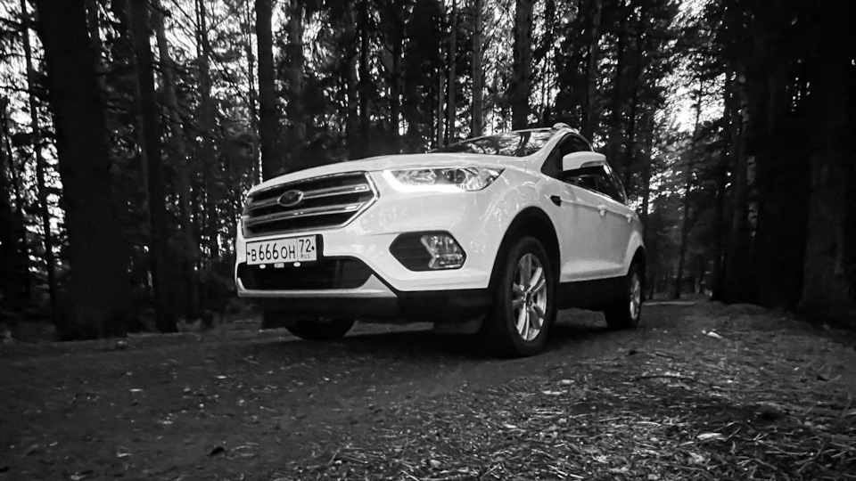 Фото 94 — Советы по аренде Ford Kuga в Кургане: как избежать мошенников